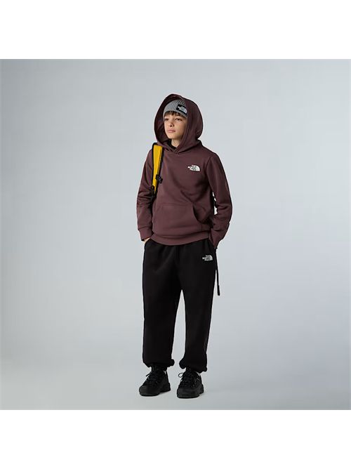Felpa con cappuccio Simple Dome da ragazzi THE NORTH FACE | NF0A8AXV/BQ71